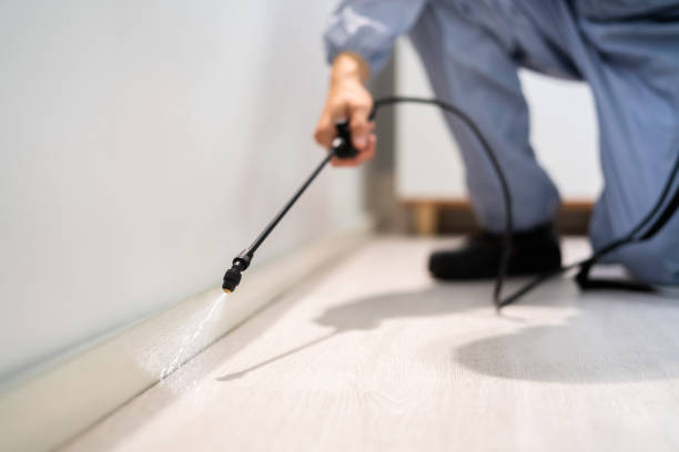 Licensed Cockroach Control service in Waverly, VA - Nex Pest Control