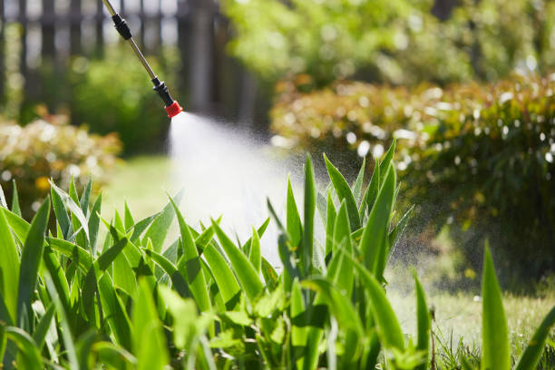 24/7 Emergency Cockroach Control experts in Waverly, VA