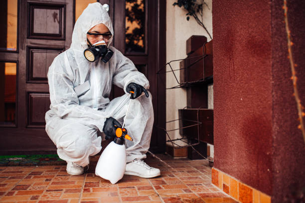 Reliable Cockroach Control contractor in Waverly, VA by Nex Pest Control