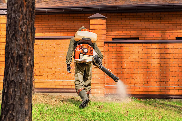 Trusted Cockroach Control service in Waverly, VA - Nex Pest Control